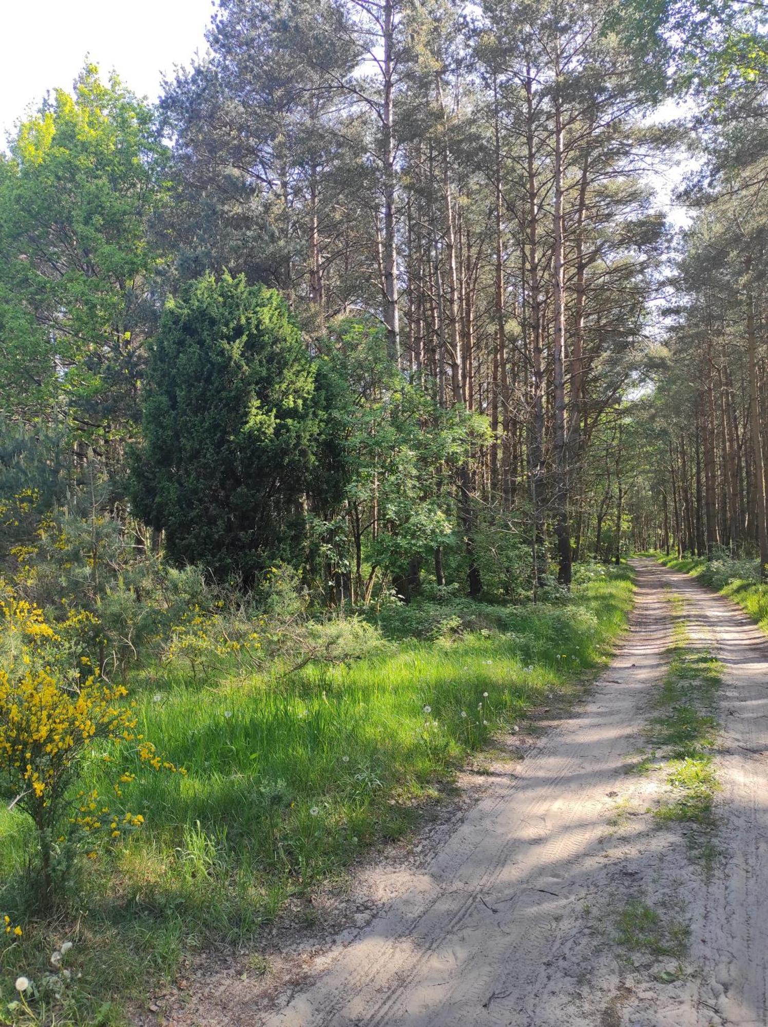 Domki Na Jastrzebiej Mieroszyno Exterior foto